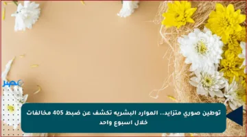 توطين صوري متزايد.. الموارد البشرية تكشف عن ضبط 405 مخالفات خلال أسبوع واحد